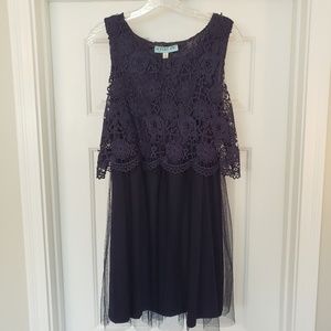 Francesca's Crochet and Tulle Dress